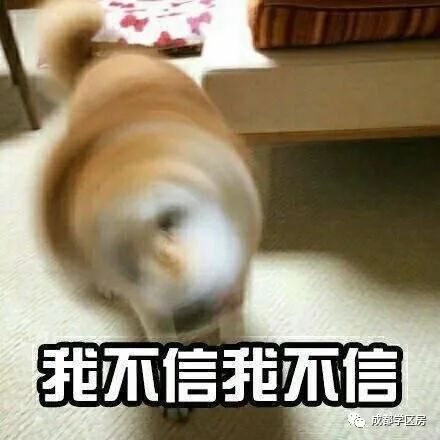 相隔一条街为何房价差了这么多,一条街两边的房子价格