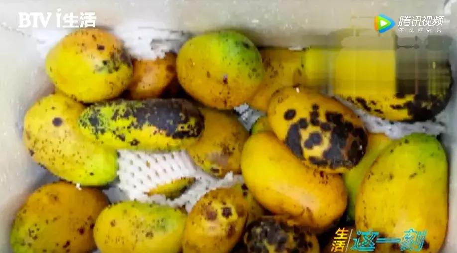 被奶茶毁掉的中国姑娘