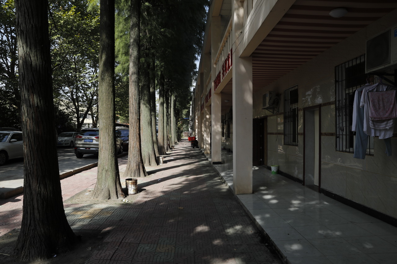 湖北省江汉棉纺织厂怎么样,武汉东西湖棉纺织厂梁冬芳