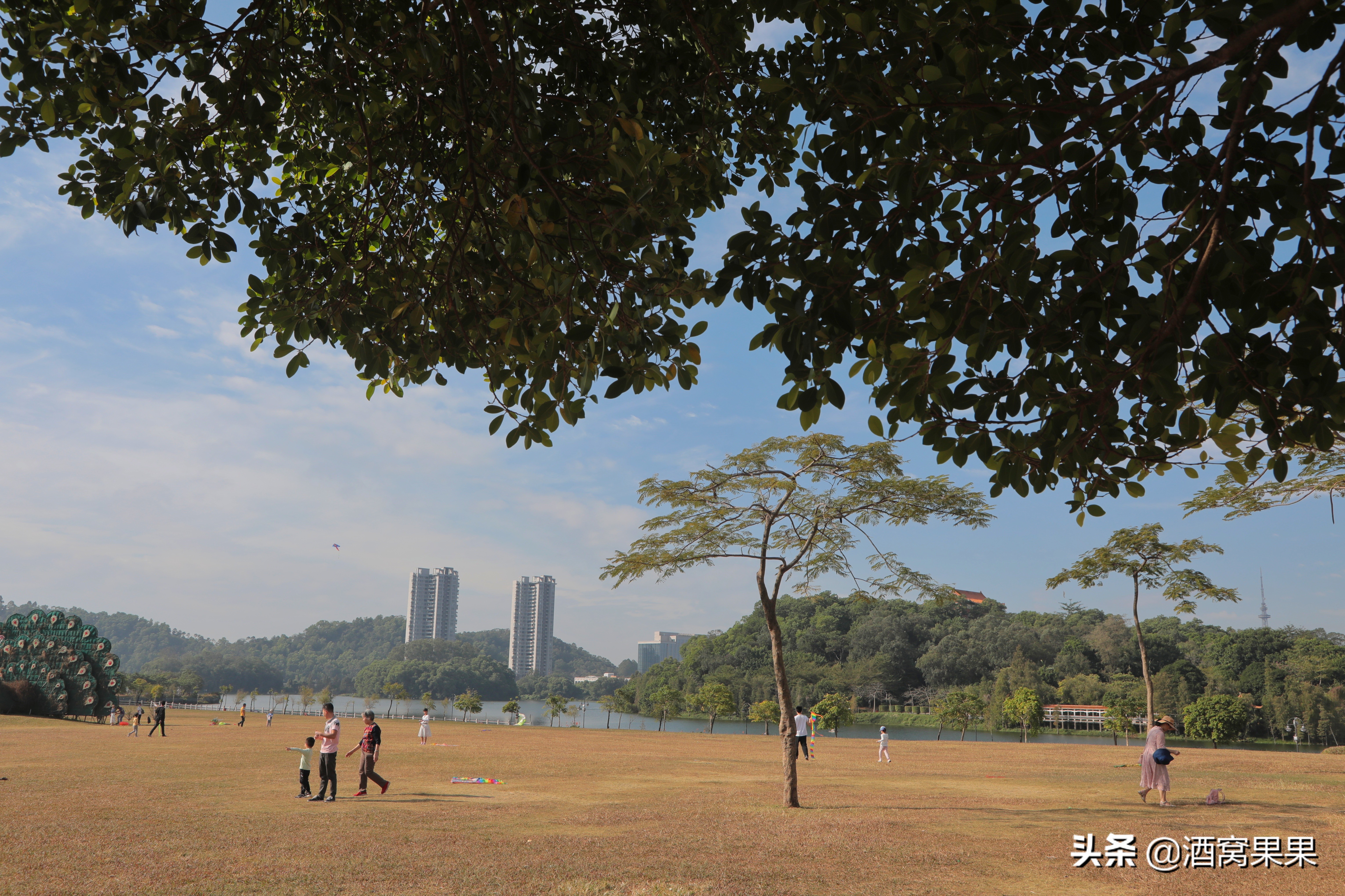 关于潍坊手工风筝历史,潍坊风筝大全