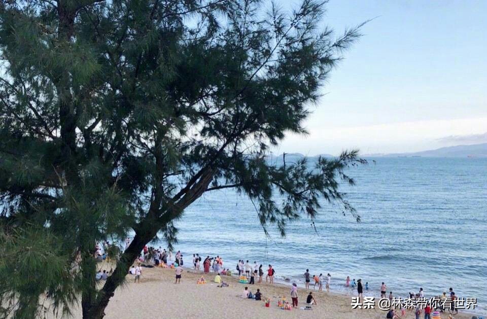 厦门自由行五天旅游攻略,厦门旅游两日游推荐自由行攻略