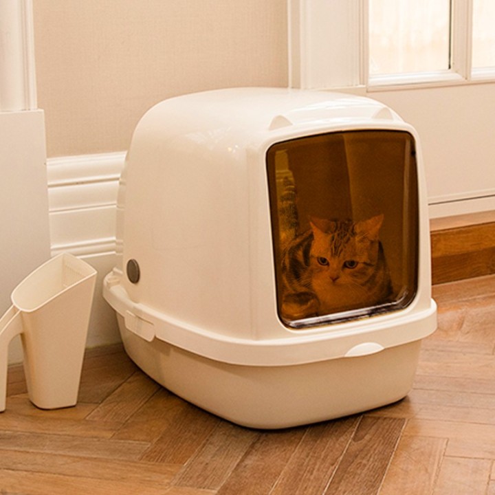 猫咪的屁屁臭怎么办,猫咪回南方拉屎特别臭