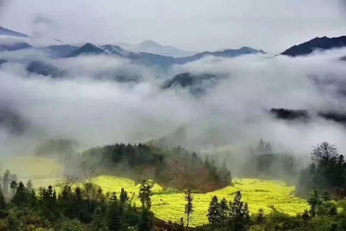 婺源旅游全攻略自由行,婺源旅游攻略一日游自由行