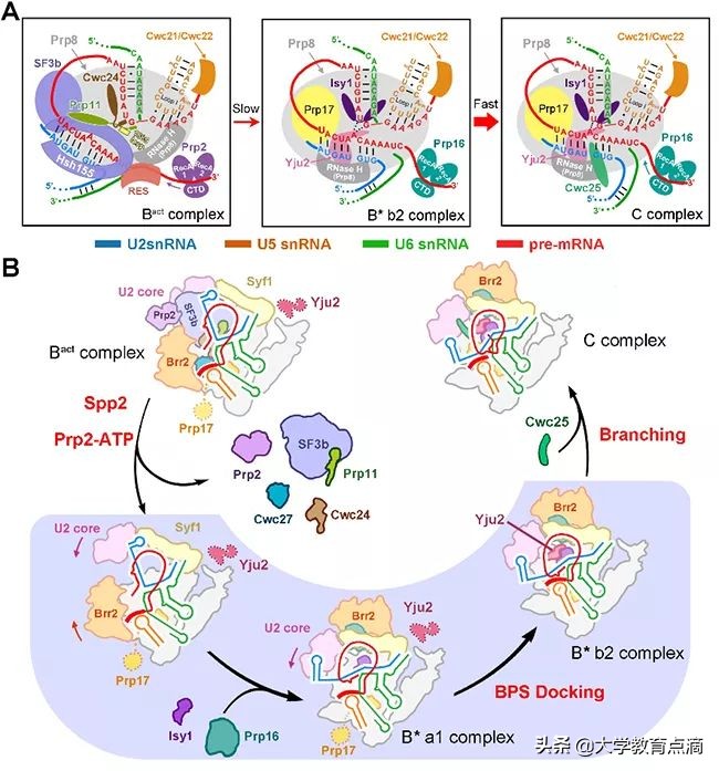 清华大学科技成果转化,清华大学重大贡献科研成果