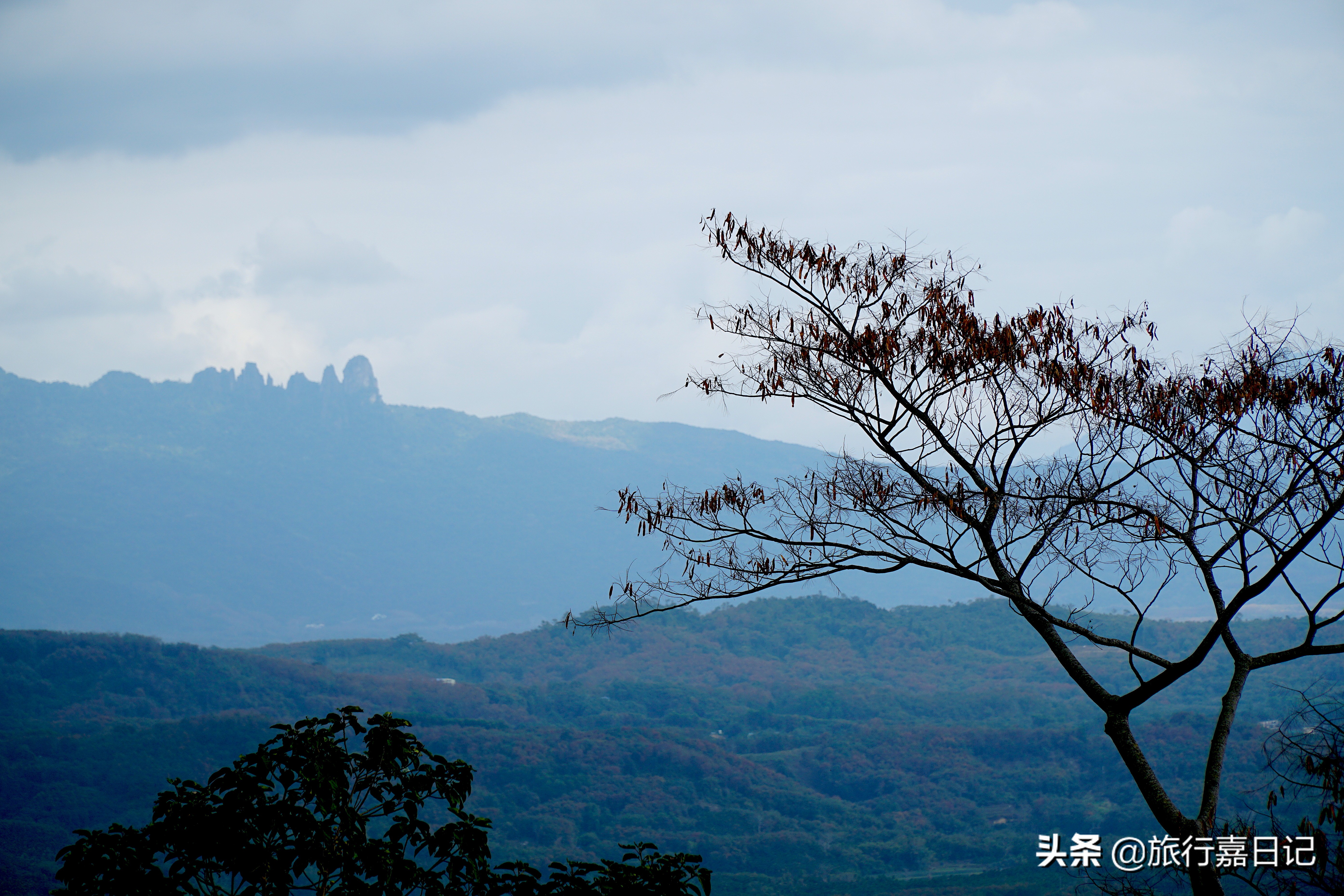 三亚旅游真实体验,去海南三亚玩怎么玩才不会被坑