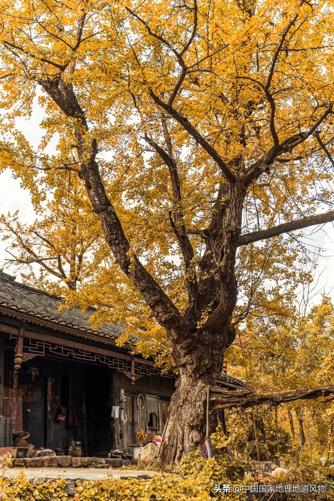 中国凉都六盘水完整视频,中国凉都六盘水气候宜人