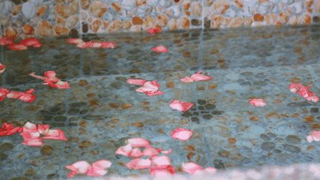 苏州乐园四季恒温温泉,苏州乐园四季恒温水乐园在哪里