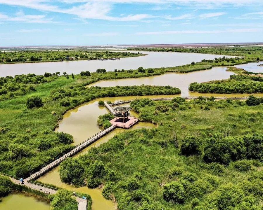 山东自驾游最佳旅游路线发布,山东自驾旅游攻略最全最好的线路