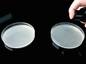 生理性脚臭喷雾,脚臭被人闻到很尴尬怎么办