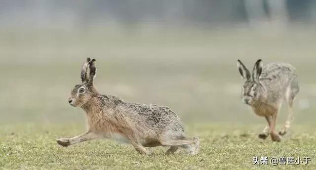 快速致富赚钱项目有哪些,做什么能发财致富好项目