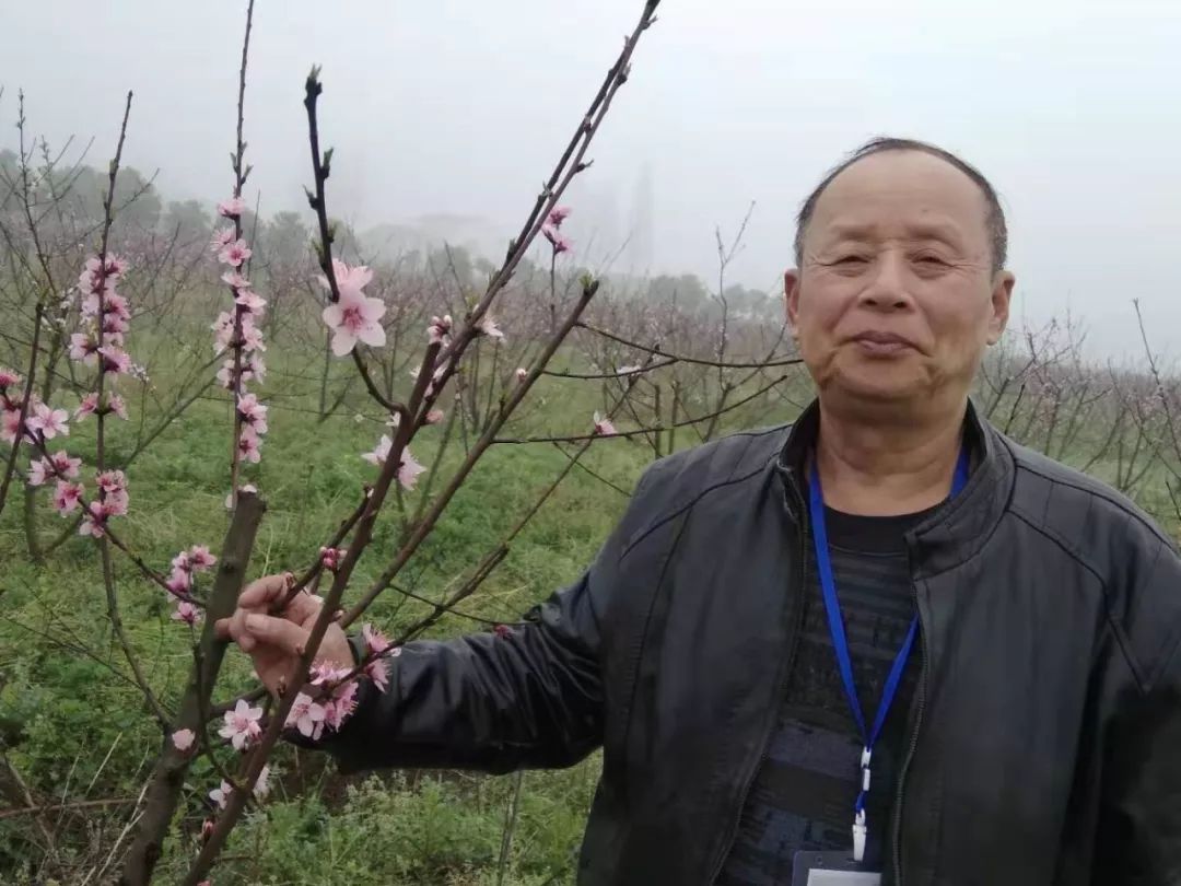 葛王佑保（中英双语）