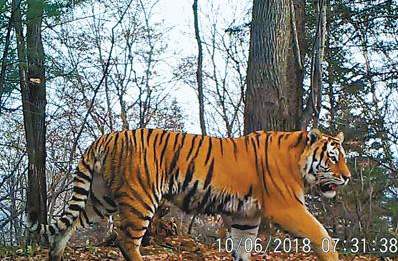 蛟河地理特点,蛟河地名的来源