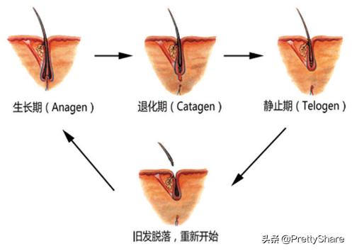 哪款洗发香波比较好,怎样挑选洗发香波