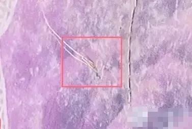 如何选择棕垫价格,什么品牌棕垫便宜又好用