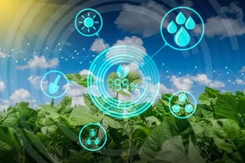 全球有机农业发展现状,有机农业比传统农业更环保吗