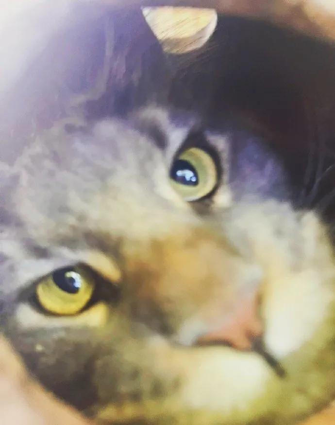 浣犺兘鐚滃嚭璋佺畻鎴戣緭,浣犵寽寰楀嚭鏉ョ畻鎴戣緭