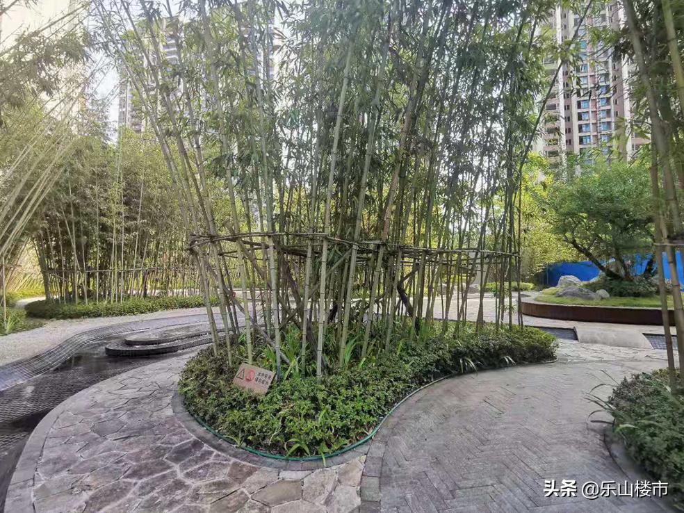 乐山领地兰台府最新价格,乐山领地兰台府房价降了么