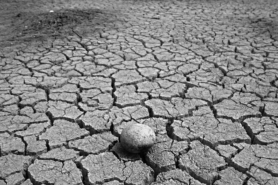 如何在野外寻找水源,野外寻找水源和净化水的小诀窍