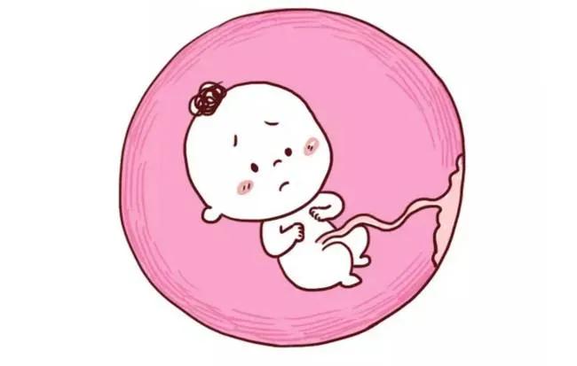 做彩超说胎儿股骨短,四维胎儿腿骨短怎么办