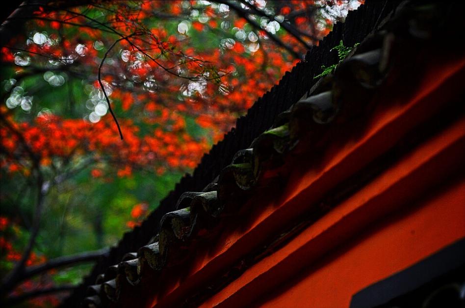 南京为什么叫金陵城视频,南京为何很多地方叫金陵