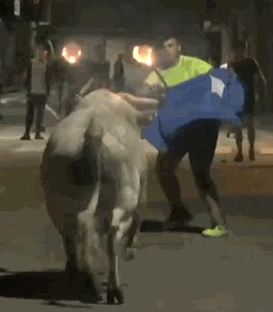 被牛角顶了是什么感觉,被牛角顶了是什么样