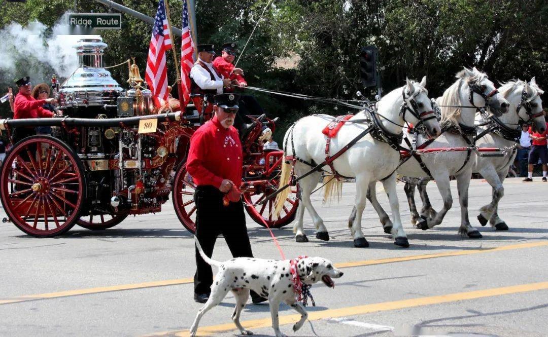 金斯瑞是什么,金斯瑞生物科技缺点