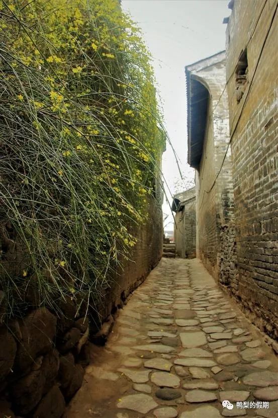 韩城党家村旅游后感受,自驾游走遍中国途中视频