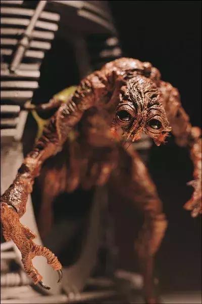 如何停止恐惧,如何停止畏惧