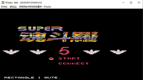 pckekenes怎么设置手柄,pc童年游戏模拟器