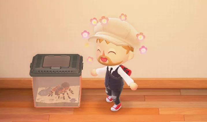 动森变成岛民,越来越多人把动森玩成了小红书