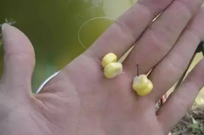 草鱼怎么也钓不上,草鱼为啥那么难钓