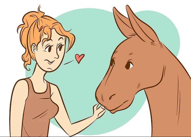 怎么让一头犟驴听话,怎么驯服一头犟驴