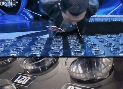 最强大脑王昱珩清华毕业后不上班,王昱珩上学经历