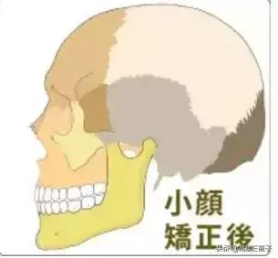 脸大真的不如脸小的好看吗,脸小真的显瘦吗