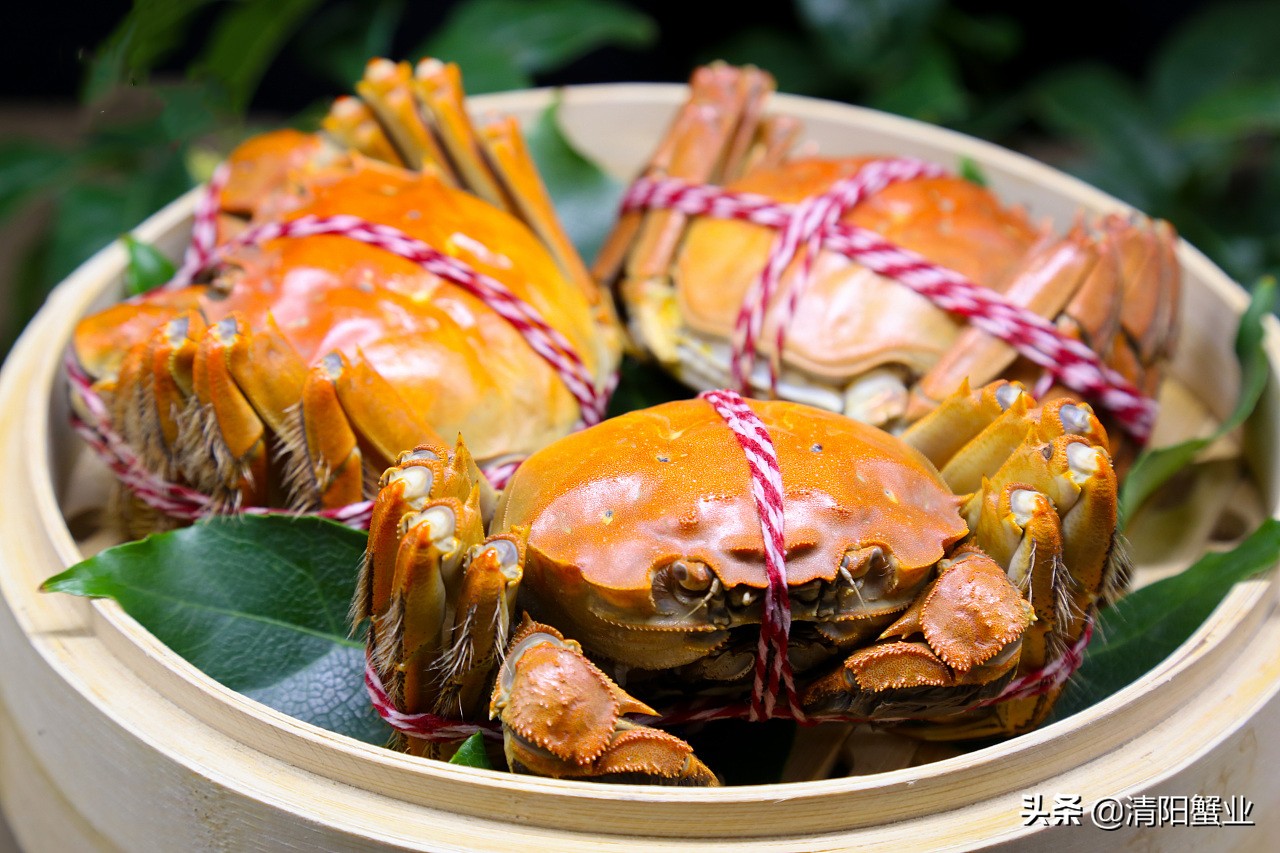 镇江正宗阳澄湖大闸蟹新鲜美味,阳澄湖大闸蟹秋天的美味