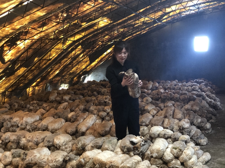 吉林榆树乡村振兴,吉林榆树农业全景