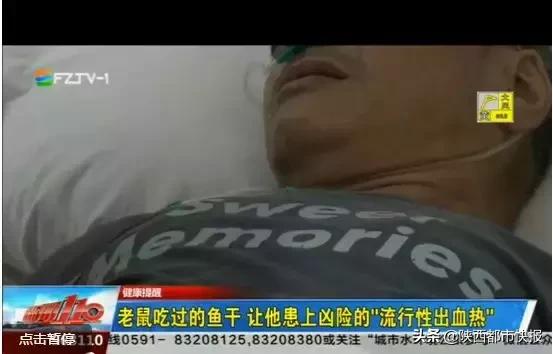 家里突然冒出这东西，西安一女子凌晨起夜被抓伤！医生：一旦发病死亡率很高
