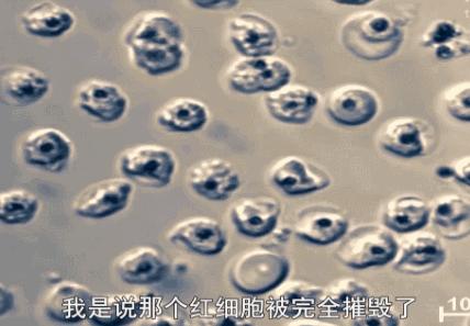 主持人用生命拍片系列，大写的牛掰