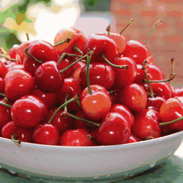 昌平哪里有采摘樱桃的地方,摘樱桃昌平