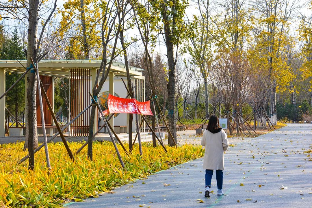 春意盎然北京五大公园,北京区级综合性公园