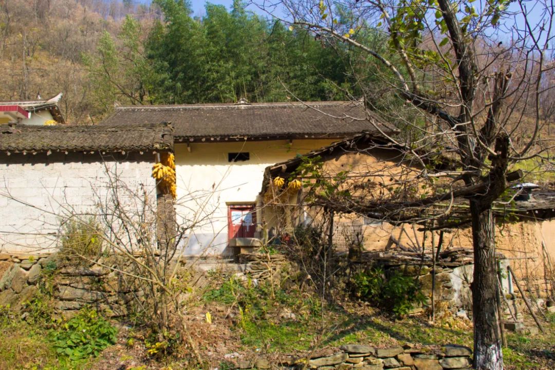 寻访秦岭龙潭村，背篓都是背在背上，这位大婶为何将其挎在腰间？