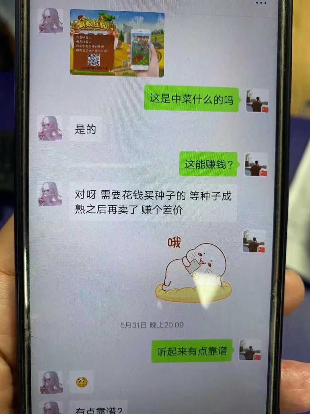 网恋被骗结尾警示,网恋被骗的十大骗局