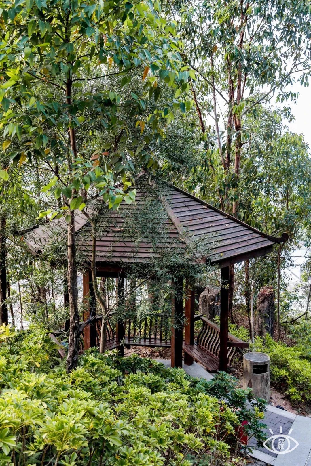 深圳看海去哪里比较好,深圳出地铁就看海的地方是哪里