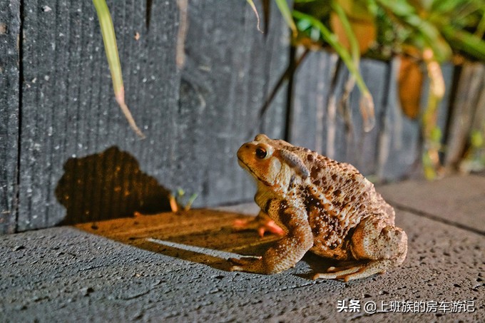 打卡溧阳天目湖御水温泉,天目湖常州溧阳御水温泉