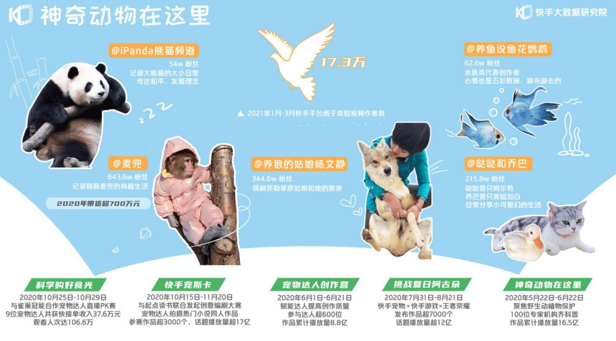 快手十大热门短视频,2022年快手短视频该怎么做