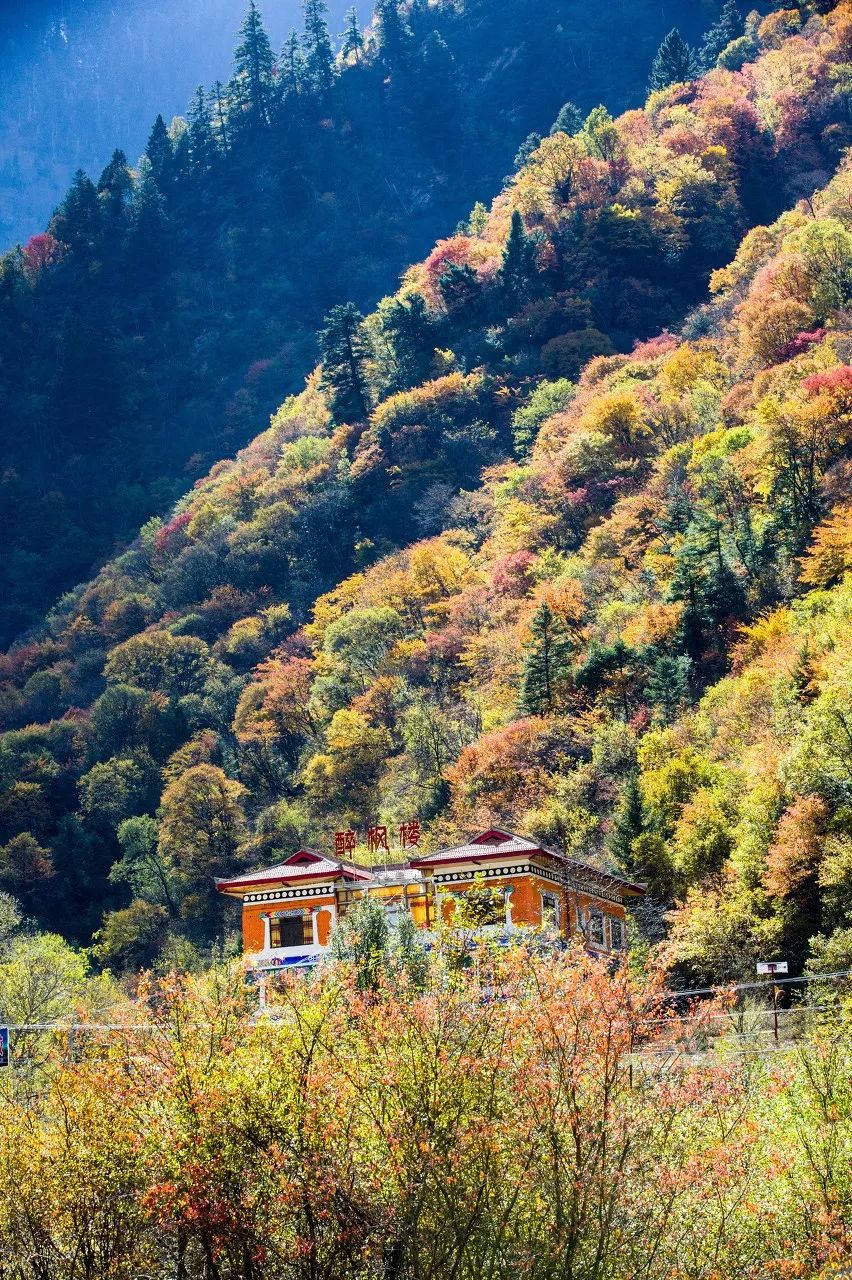 别在年轻的时候去四川！因为你的余生，都将沉醉在她的魅力里