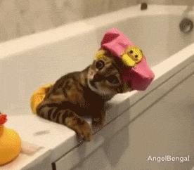 别人家的浴缸怎么样,家庭浴缸的真实感受