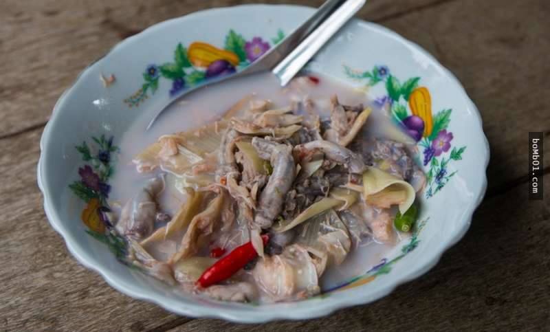 船蛆是什么贝类,船蛆贝类