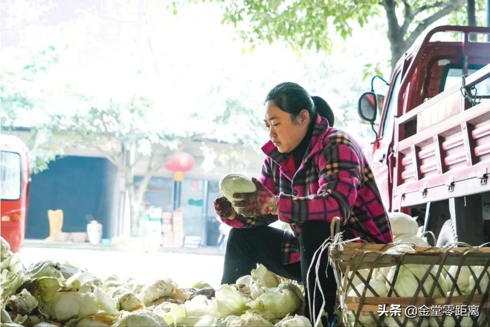 好久不见的农贸市场,三星农贸市场