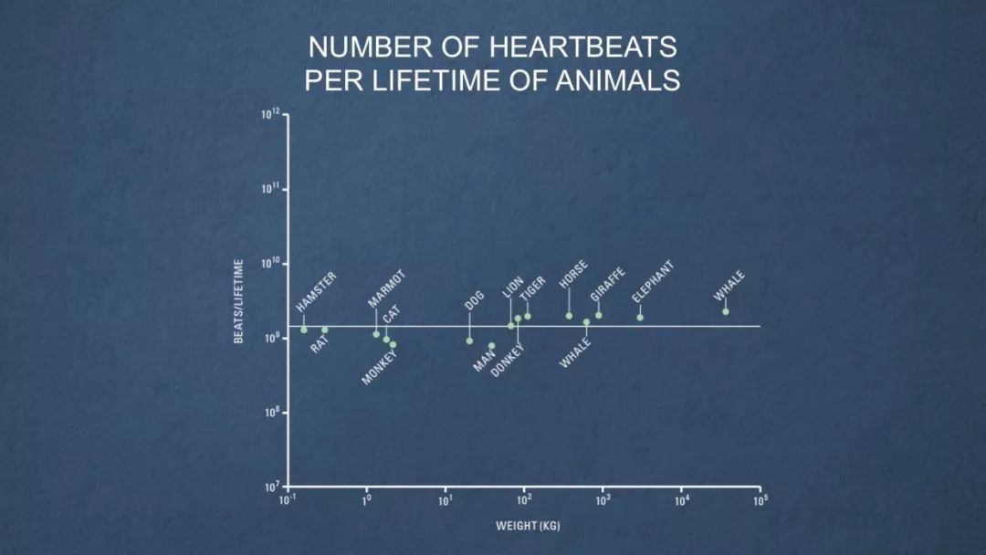 科学家找到6个神奇的数字,科学家找到6个神奇数字
